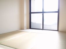 �y���̑������E�X�y�[�X�z�@�a���A�m���Ƃ����������ς�