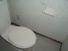 �y�g�C���z�@�ʂ��Ă��܂��񂪁A�V�����[�t�g�[�֍��ݒu���Ă��܂�